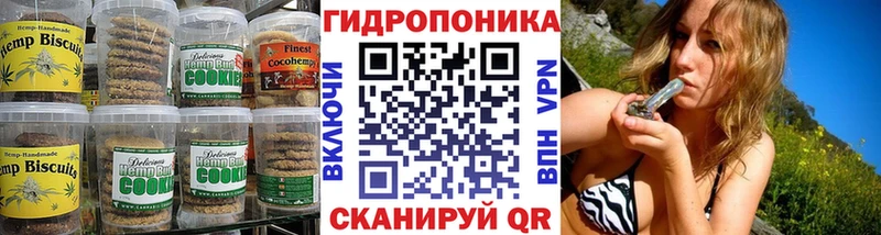 купить закладку  Приозерск  блэк спрут зеркало  Еда ТГК марихуана 