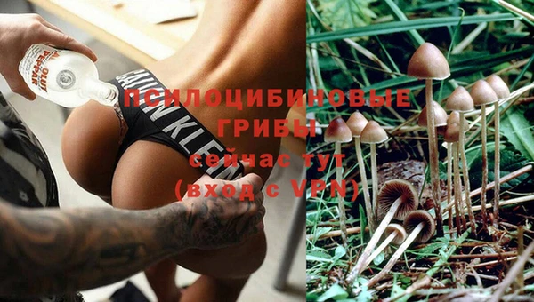 стафф Армянск