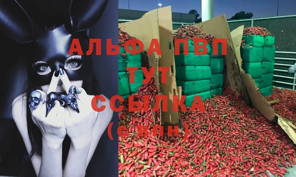 Альфа ПВП Арсеньев