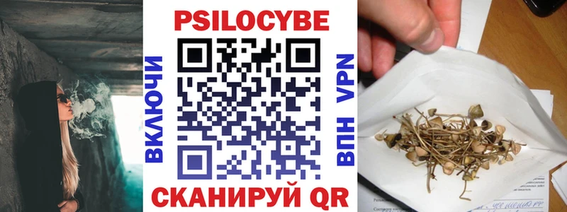 Галлюциногенные грибы Magic Shrooms  купить закладку  Приозерск 